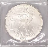 2005 One Dollar One Ounce Silver Eagle Bullion