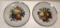 (2) Lipper & Mann Creations 7” Decorative Plates