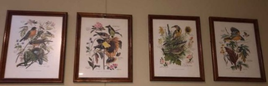 Set of (4) Framed Vintage Bird Prints by Arthur