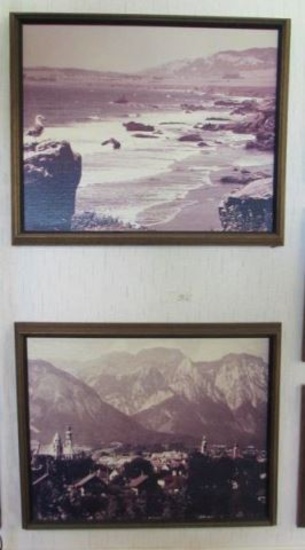 (2) Framed Pictures--Approximately 22" x 18"