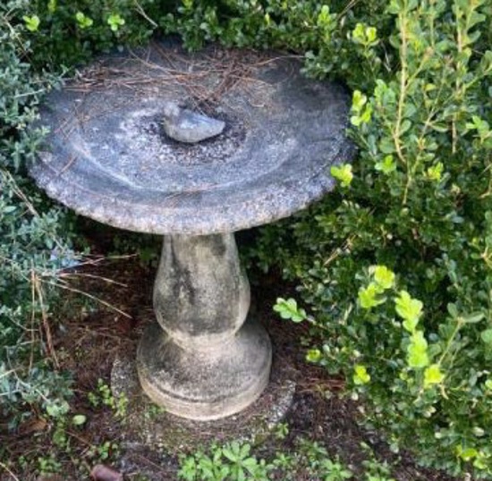 Concert Bird Bath