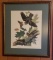 Vintage James Audubon Print  