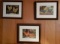 (3)  Framed and Matted Chicken/Rooster Pictures--