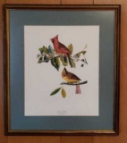 Vintage James Audubon Print  