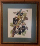 Vintage James Audubon Print  