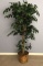 Artificial Plant in Wicker Basket - 57” H