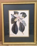 Framed & Double Matted Magnolia Print--18