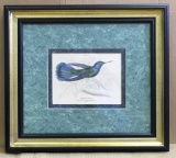 Framed & Double Matted Bird Print--#1 of 4--