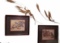 (2) Framed and Triple Matted Bird Prints - 17”  x