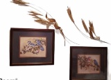 (2) Framed and Triple Matted Bird Prints - 17”  x