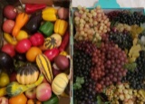 Assorted Plastic Grapes and Vegetables