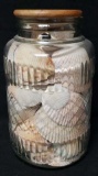 Large Jar with Shells