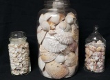 Large Glass Jar (no lid) with Shells and (2)