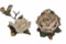Andrea by Sadek, Andrea’s Flowers Magnolia with