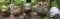 Assorted Yard Ornaments