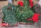 Assorted Christmas Wreaths and Garland