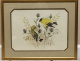 Vintage Framed & Double Matted F. Massa Bird Print