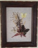 Framed Butterflies & Dried Flowers--12 1/4