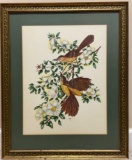 Framed & Matted Vintage Signed Bird Print--21 1/2