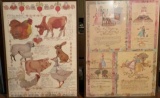 (2) Framed Pictures