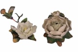Andrea by Sadek, Andrea’s Flowers Magnolia with