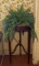 Artificial Fern in Wooden Plant Stand on Casters