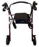 Rolling Walker with Seat