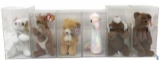 (6) Ty Beany Babies in Acrylic Cases: 1993