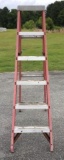 Louisville 6' Fiber Glass & Aluminum Ladder