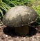 Concrete Mushroom Yard Ornament - 12” H, 15 1/2” D