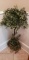 Artificial Plant in Wooden Planter - 56” H