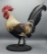 Taxidermy Rooster