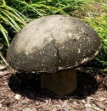 Concrete Mushroom Yard Ornament - 12” H, 15 1/2” D