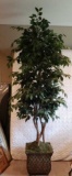 Silk Silk Ficus Tree in Decorative Planter, 90’’