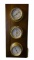 Sunbeam Wooden Weather Station Thermometer