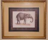 Framed and Double Matted Elephant Print