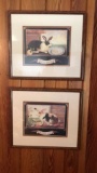Framed Rabbit Prints, Cottontail and Rabbits,