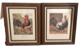 (2) Rooster Pictures