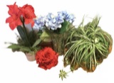 (4) Artifical Flower & Plant Arrangements