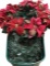 Large Tote Of Christmas Florals: Large Wreath,