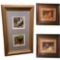 (3) Framed and Double Matted Chicken Prints,