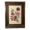 Framed and Matted Floral Print, 32 1/2’’ T x 24