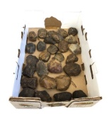 Box of Pre-Historic Rocks/Artifacts