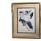 Framed and Double Matted Magnolia Print