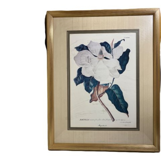 Framed and Double Matted Magnolia Print