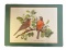 (8) Pimpernel Bird Hard Place Mats - Made in
