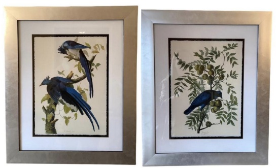 (2) Framed and Matted Bird Prints - 19 3/4” x 23