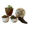 (3) Planters with Plants, Shoe and Turtle Garden