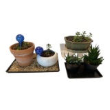 (3) Small Planters with Succulents and (2) Small