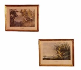 (2) Framed Prints - 13” x 10”